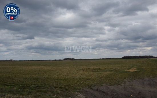 Działka rekreacyjna na sprzedaż Jezierzany