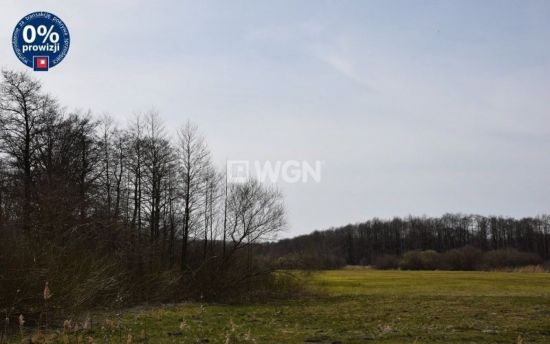 Działka rekreacyjna na sprzedaż Jezierzany